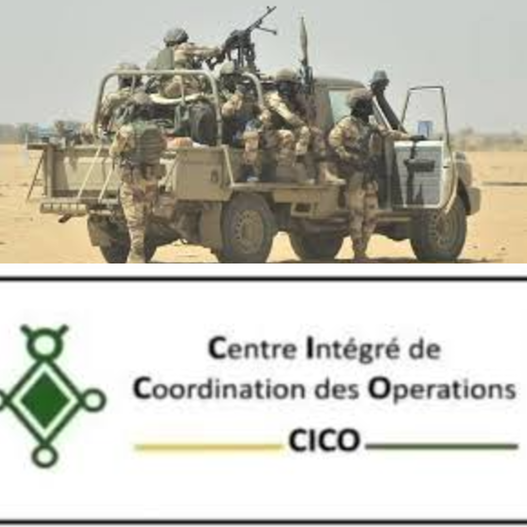 Niger : Succès des forces de défense et de sécurité contre les mercenaires et bandits