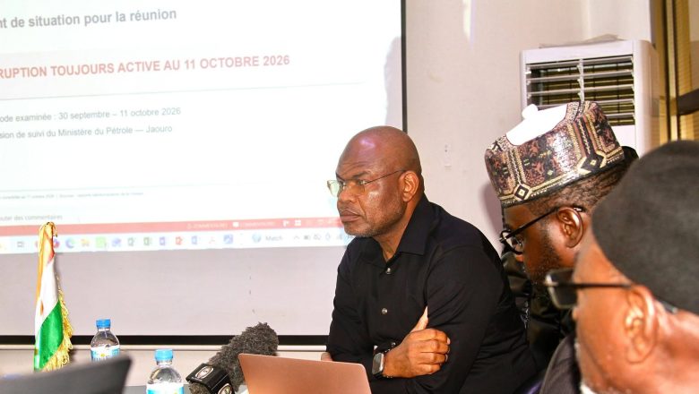 Mobilisation d'experts algériens pour maîtriser l'éruption pétrolière au Niger