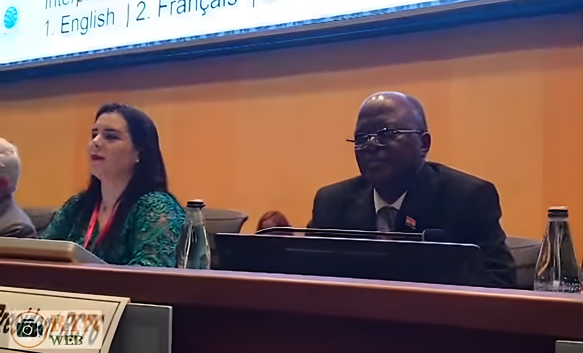 Le Niger élu premier vice-président du Comité régional de l'OMS pour l'Afrique