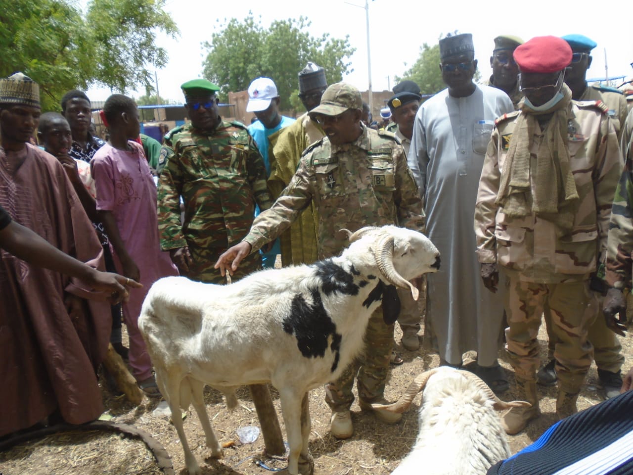 Visite du Gouverneur au marché aux bestiaux de Zinder avant la Tabaski