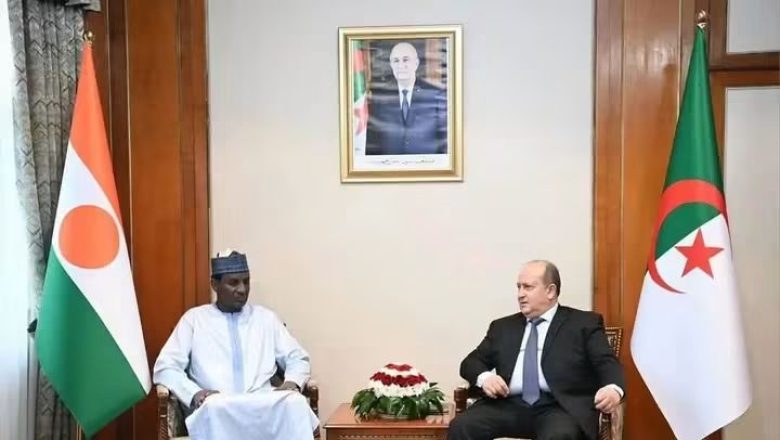 Rencontre Tebboune-Zeine : Vers un renforcement de la coopération algéro-nigérienne