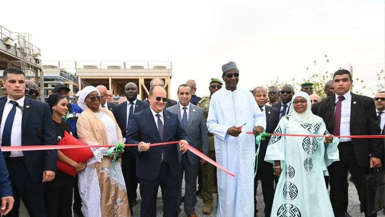 Algérie et Niger : Un Partenariat Énergétique Renforcé