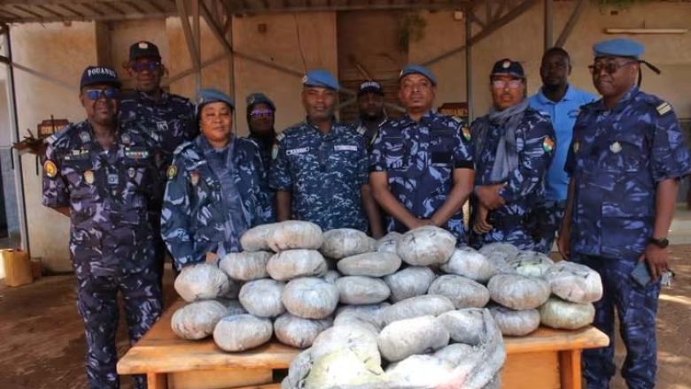 Saisie record de chanvre indien à Niamey