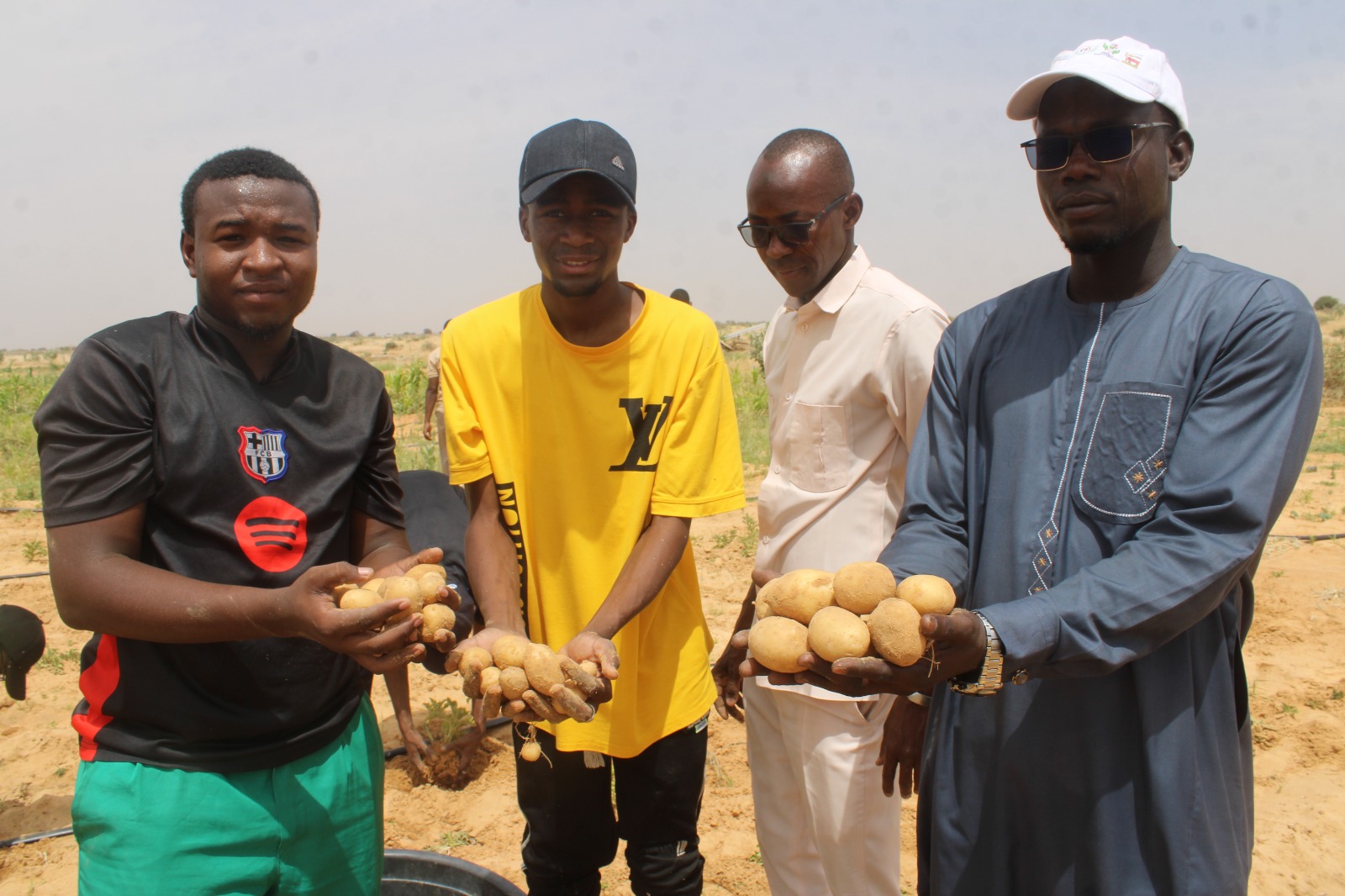 Première récolte à la ferme agropastorale de l'Université de Diffa