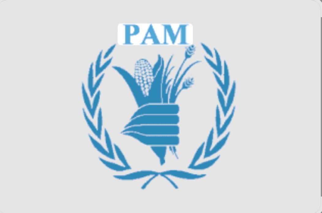 Le PAM et ses partenaires salués par l'ONU pour la restauration des terres au Sahel