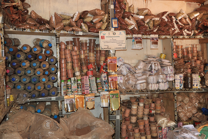 Niger Enacts Strict Regulations for Traditional Pharmacopoeia
