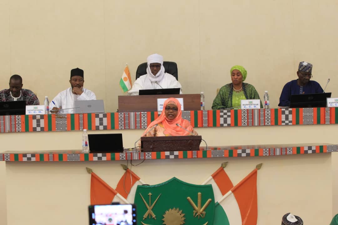 Puissance électrique au Niger : un écart significatif entre capacité installée et disponibilité